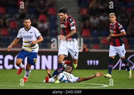 Massimo Paolone/Lapresse 13 septembre 2021 Bologna, Italie football Bologna vs Vérone - Championnat italien de football League A TIM 2021/2022 - Stade Renato Dall'Ara dans le pic: Roberto Soriano (Bologna F.C.) concurrence pour le ballon avec Adrien Tameze (Hellas Verona FC) Banque D'Images