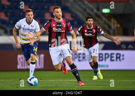 Massimo Paolone/Lapresse 13 septembre 2021 Bologna, Italie football Bologna vs Vérone - Ligue italienne de football A TIM 2021/2022 - Stade Renato Dall'Ara dans le pic: Marko Arnautovic (Bologna F.C.) concurrence pour le ballon avec Ivan Ilic (Hellas Verona FC) Banque D'Images