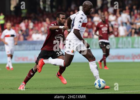 Alessandro Garofalo/Lapresse 02 octobre 2021 Salerno, Italie football sportif Salerntana vs Gênes - Championnat italien de football Ligue A 2021/2022 - Stade Arechi.Dans la photo: Abdoulaye Toure (Gênes CFC); Lassana Coulibaly (USA Salernitana 1919); Banque D'Images