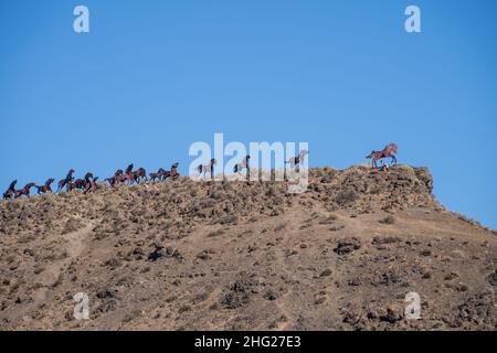 Grandfather Cuts Loose The Ponies (également connu sous le nom de Wild Horse Monument) est une sculpture d'art publique créée par David Govedaare en 1989–1990 et située Banque D'Images