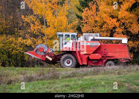 Moissonneuse-batteuse Massey Ferguson modèle 850, conduite après les feuilles d'automne le long d'une route de campagne. Banque D'Images