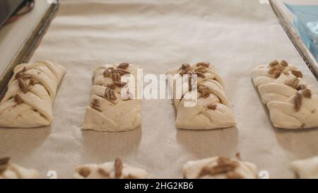 Gros plan des mains de confiserie mettant des petits pains non cuits avec des noix sur la plaque du four Baker préparant des pâtisseries sucrées et savoureuses. Banque D'Images