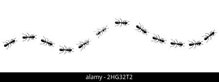 Des fourmis qui marchent sur la piste à la recherche de nourriture.Chemin ANT isolé sur fond blanc.Illustration vectorielle Illustration de Vecteur