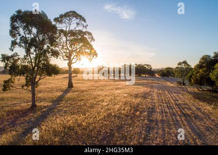 Coucher de soleil incroyable dans l'Outback australien avec espace de copie Banque D'Images