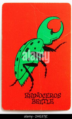 Carte de jeu de Skeeter - Rhinoculous Beetle Banque D'Images