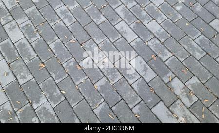 Pavés humides gris recouverts de feuillage jaune fin en automne.Vue de dessus.Trottoir de la ville Banque D'Images