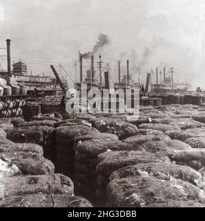 Photo d'époque du lévee de coton, Nouvelle-Orléans, États-Unis.1901 photo montre des milliers de balles de coton et quatre steamers ancrés. Banque D'Images