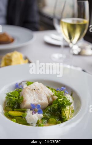 Un plat de poisson sauté servi sur une salade de crucifères Banque D'Images