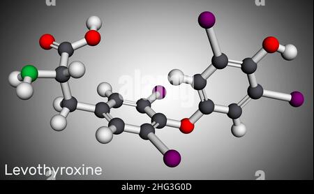 Lévothyroxine, L-thyroxine, molécule.Il s'agit de la forme synthétique de l'hormone thyroïdienne thyroxine, T4 hormone, utilisée pour traiter l'hypothyroïdie.Modèle moléculaire Banque D'Images