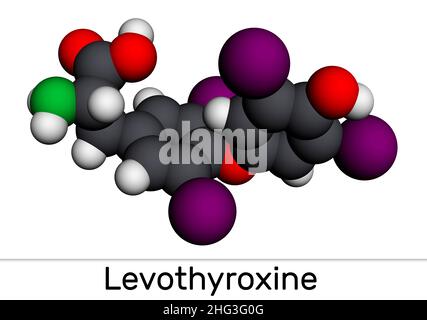 Lévothyroxine, L-thyroxine, molécule.Il s'agit de la forme synthétique de l'hormone thyroïdienne thyroxine, T4 hormone, utilisée pour traiter l'hypothyroïdie.Modèle moléculaire Banque D'Images