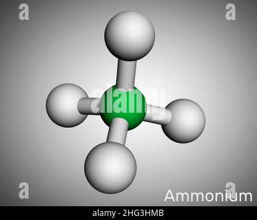 Cation d'ammonium, molécule d'azanium.C'est un ion polyatomique à charge positive.Modèle moléculaire.3D rendu.Illustration Banque D'Images