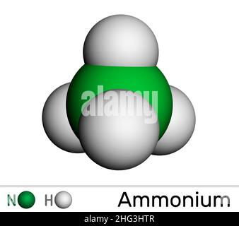 Cation d'ammonium, molécule d'azanium.C'est un ion polyatomique à charge positive.Modèle moléculaire.3D rendu.Illustration Banque D'Images