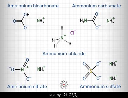 Sels d'ammonium : bicarbonate d'ammonium, carbamate d'ammonium, sulfate d'ammonium, nitrate d'ammonium, molécule de chlorure d'ammonium.Formule chimique du squelette.S Illustration de Vecteur