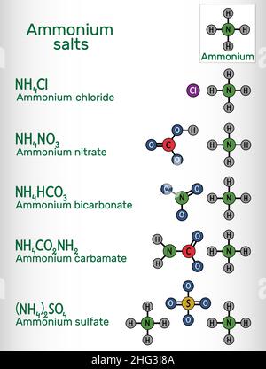 Sels d'ammonium : bicarbonate d'ammonium, carbamate d'ammonium, sulfate d'ammonium, nitrate d'ammonium, molécule de chlorure d'ammonium.Formule chimique du squelette.V Illustration de Vecteur