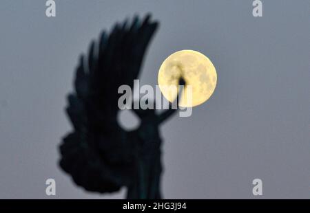 Brighton UK 18th janvier 2022 - la Lune des loups coule derrière la statue de la paix de Brighton tôt ce matin .Traditionnellement, la première pleine lune de l'année est connue sous le nom de Lune du Loup .Credit Simon Dack / Alamy Live News Banque D'Images