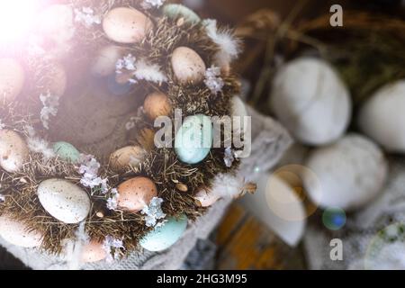 Nid d'oiseau d'oeufs pour pâques Banque D'Images