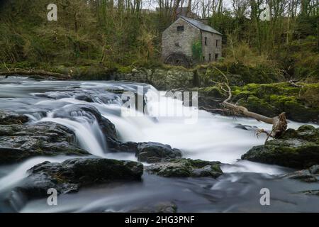 Cenarth tombe sur la rivière Tiefi avec l'ancien moulin à eau sur la rive ouest, Ceredigion pays de Galles.Décembre 2021. Banque D'Images