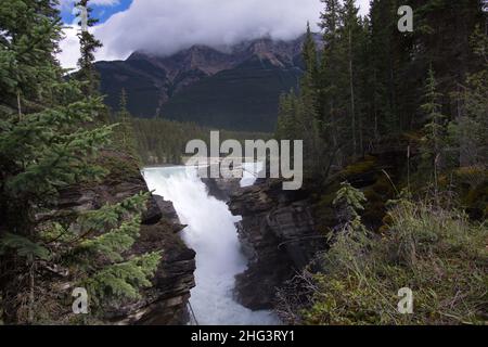 Chutes Athabasca dans le parc national Jasper, Alberta, Canada, Amérique du Nord Banque D'Images