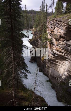 Chutes Athabasca dans le parc national Jasper, Alberta, Canada, Amérique du Nord Banque D'Images