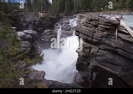 Chutes Athabasca dans le parc national Jasper, Alberta, Canada, Amérique du Nord Banque D'Images