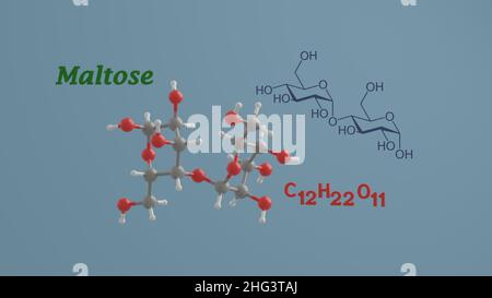 Maltose réduction sucre disaccharide science structure chimique et modèle 3D illustration de rendu Banque D'Images