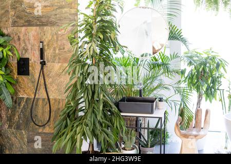 Intérieur élégant de la salle de bains avec des plantes vertes Banque D'Images