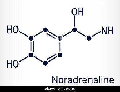 Noradrénaline, NA, norépinéphrine, molécule ne.Il s'agit de l'hormone, du neurotransmetteur monoamine, du neuromodulateur, des médicaments.Formule chimique du squelette.VEC Illustration de Vecteur