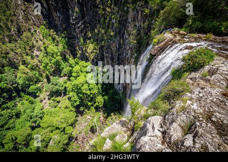 Minyon Falls dans le parc national de Nightcap, Nouvelle-Galles du Sud, Australie Banque D'Images