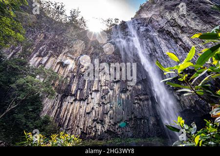 Minyon Falls dans le parc national de Nightcap, Nouvelle-Galles du Sud, Australie Banque D'Images