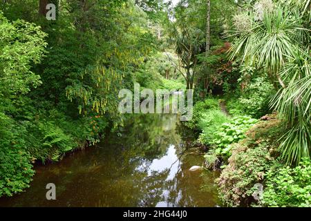 La rivière Vartry s'écoulant sur un déversoir entouré de verdure de chaque côté. Banque D'Images