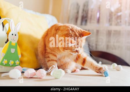 Chat de gingembre jouant avec des œufs de Pâques à la maison.Animal de compagnie s'amusant sur le canapé par lapin de Pâques.Symbole vacances de printemps.Animal aidant avec la décoration Banque D'Images