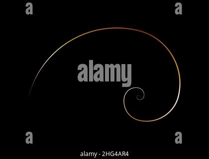 Rapport d'or.Fibonacci spirale, section dorée, proportion divine, Or Nautilus Shell montrant la spirale, illustration vectorielle arrière-plan noir isolé Illustration de Vecteur