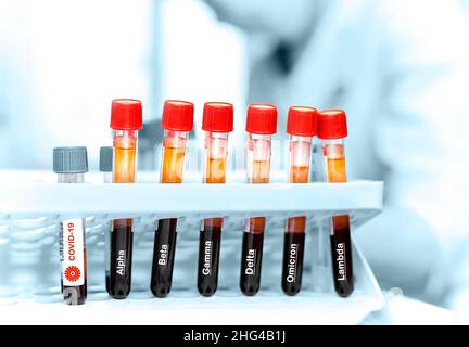 Tubes à essai avec du sang dans le laboratoire.Covid-19 marqué et variantes de mutation. Banque D'Images