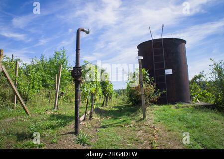 Un réservoir d'eau dans le vignoble de Sobes, l'un des plus anciens sites viticoles de Moravie, dans le parc national de Podyji, près de la frontière sud du Czec Banque D'Images