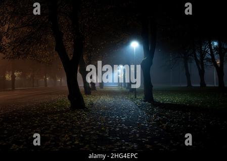 Photo d'un pavé recouvert de feuilles d'automne, avec des arbres sur les côtés du pavé et des lanternes brillantes.Tourné dans une soirée d'automne sombre et brumeuse. Banque D'Images