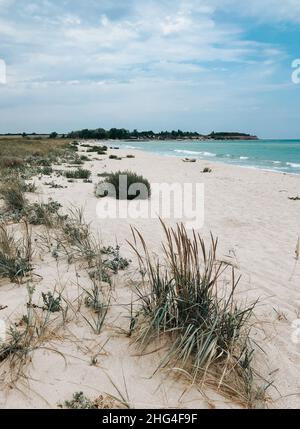 herbe sur sable blanc plage bleu de mer mer bleu mer vagues ligne.Mousse d'océan à vagues souples.Fond naturel ciel plage.Fond d'écran de modèle d'espace libre Banque D'Images