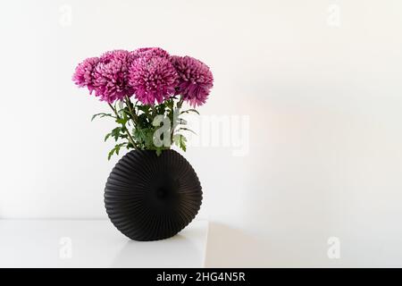 Composition élégante des magnifiques fleurs de chrysanthème rose debout dans un vase moderne noir à la table.Lagom concept de culture suédoise Banque D'Images