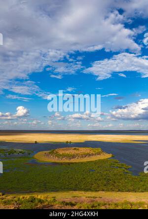 Paysage marécageux, Comté de Kajiado, Amboseli, Kenya Banque D'Images