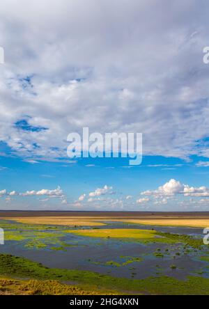 Paysage marécageux, Comté de Kajiado, Amboseli, Kenya Banque D'Images