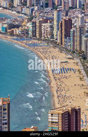 Vue d'ensemble de Benidorm, Costa Blanca, province d'Alicante, Espagne.Photographié de la Creu de Benidorm.La plage en premier plan est la Platja d Banque D'Images