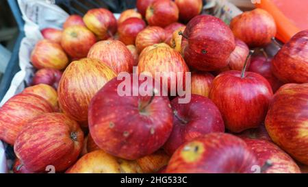 Pommes rouges sur le banc de bazar du village, pommes rouges biologiques gros plan.Concept agricole de manger propre pour un beau papier peint.Apport en vitamines. Banque D'Images