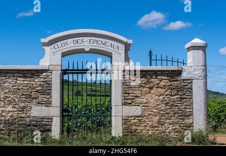 Pommard, France - 30 juin 2020 : vignoble domaine Clos des Epeneaux avec porte en Bourgogne, France. Banque D'Images