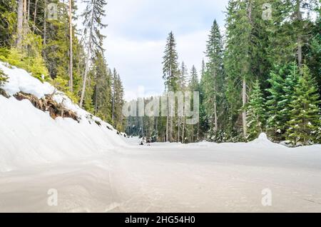 Piste vide de ski et de surf des neiges malgré des arbres élevés dans une station d'hiver à Bansko, Bulgarie, Europe Banque D'Images