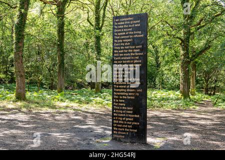 'Soil Unsalit' collaboration poétique entre Zakiya McKenzie et Khady Gueye sur la forêt de Dean Sculpture Trail près de Cannop, Coleford, Gloucestersh Banque D'Images