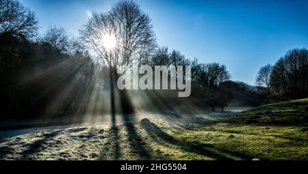 Une matinée glaciale et un ruisseau aux rayons du soleil et des rayons qui brillent à travers les arbres couverts de brume matinale d'hiver, Angleterre, Cotswolds, Royaume-Uni Banque D'Images