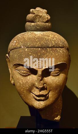 Chef de Bouddha - la Budah avec un style de cheveux Shell-like ou Kapada - Mathura, Uttatar Ptaedesh, 2-3 ème AD siècle, Inde, Indien, grès rouge, Banque D'Images