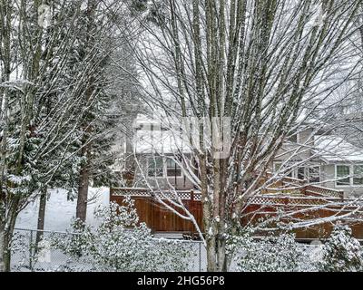 Journée enneigée en décembre à Bellevue, WA Banque D'Images