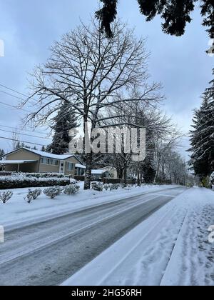 Journée enneigée en décembre à Bellevue, WA Banque D'Images