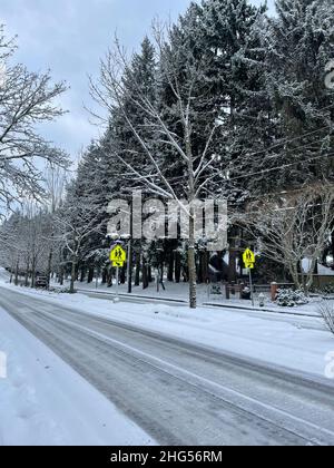 Journée enneigée en décembre à Bellevue, WA Banque D'Images