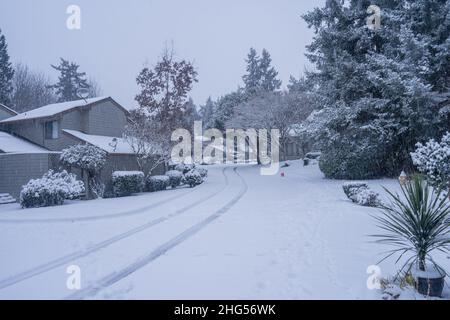 Journée enneigée en décembre à Bellevue, WA Banque D'Images